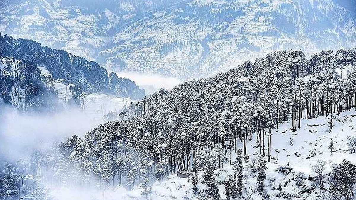 Natha Top hill staion near vaishno devi temple