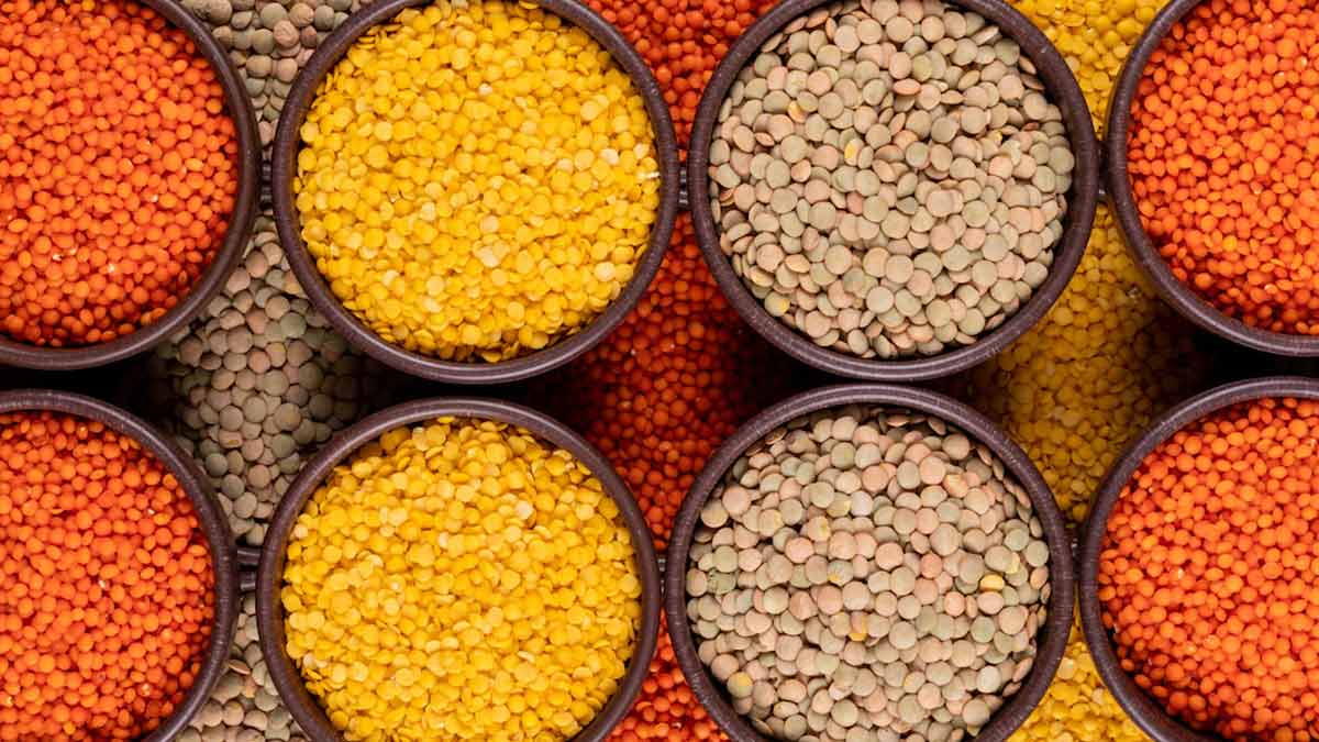 Protein lentis in hindi