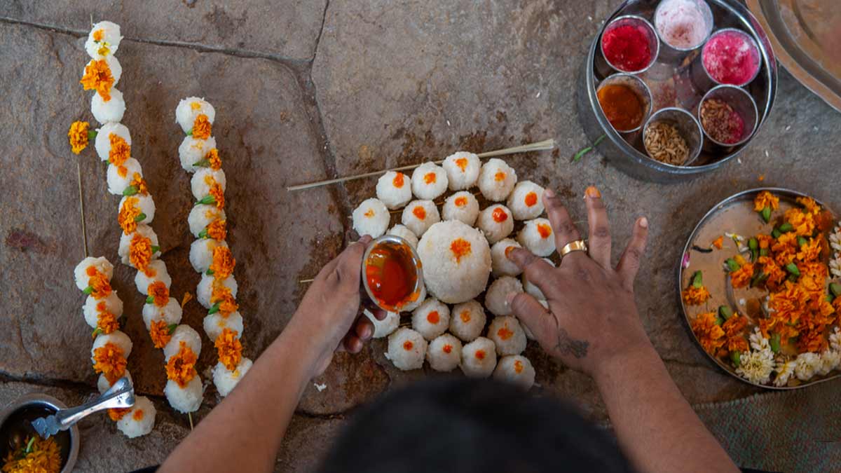 Why panchbali karma is done during pitru paksha