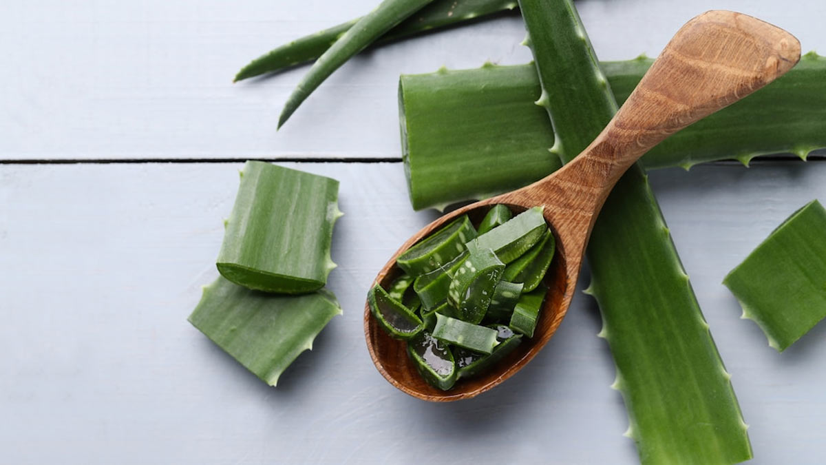 Aloe Vera Uses| एलोवेरा का इस्तेमाल कैसे करे| Aloe Vera Kaise Khaye