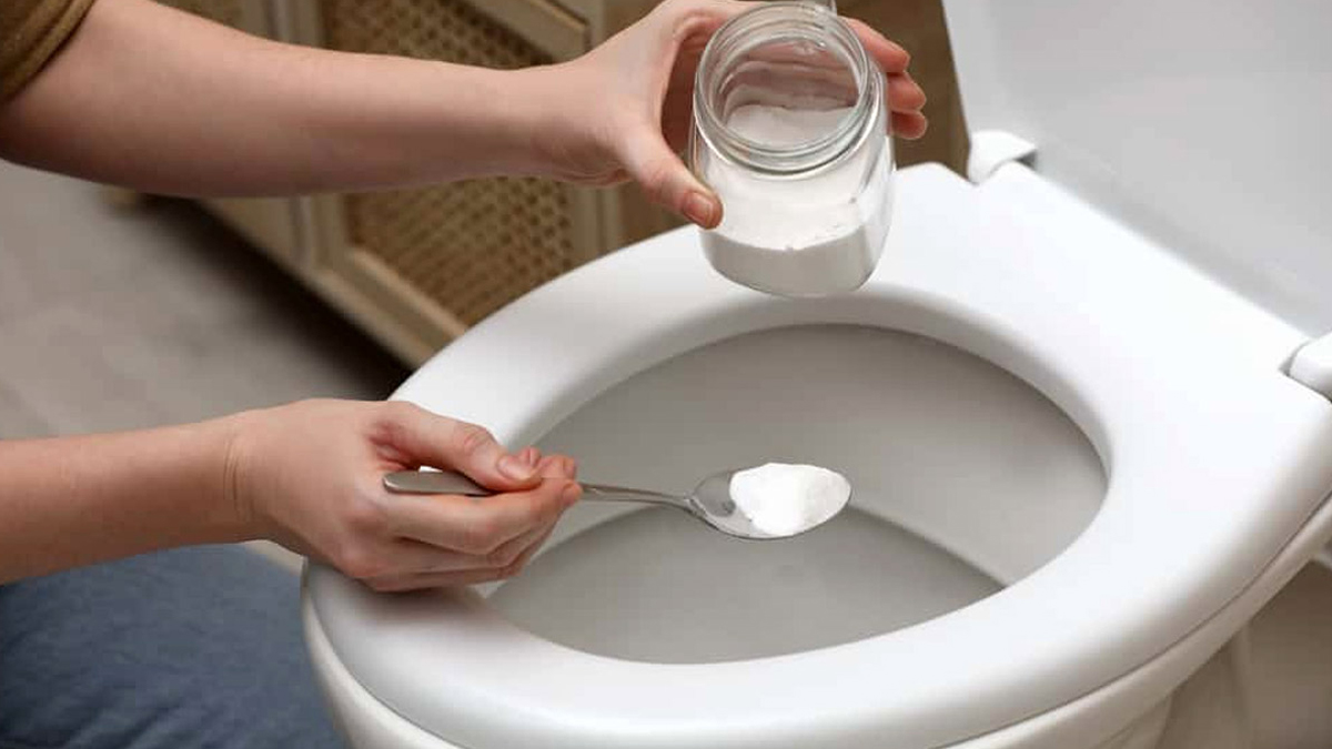 amazing uses of borax powder