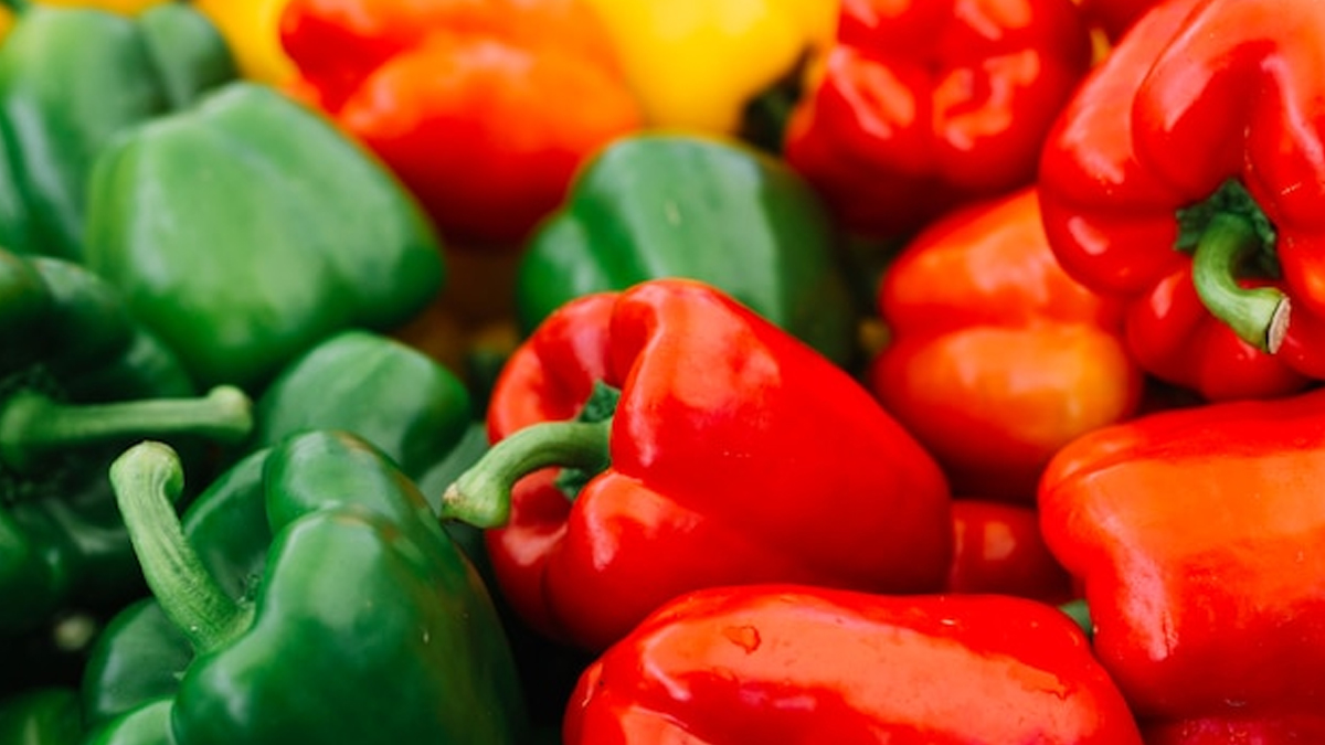 bell pepper bread substitute