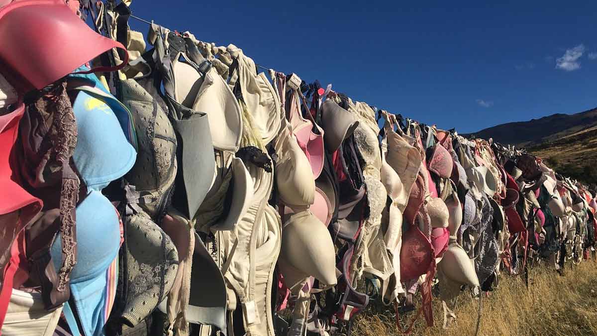 bra and its fence