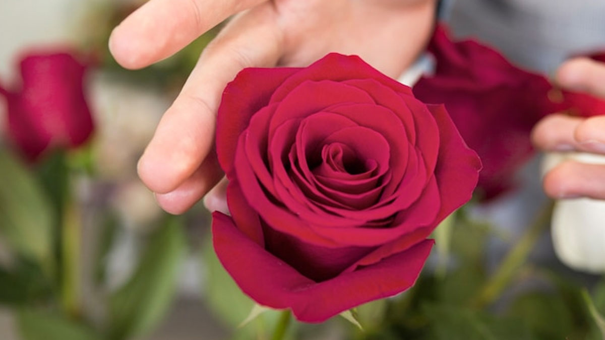 dhan ke liye gulaab ke totke