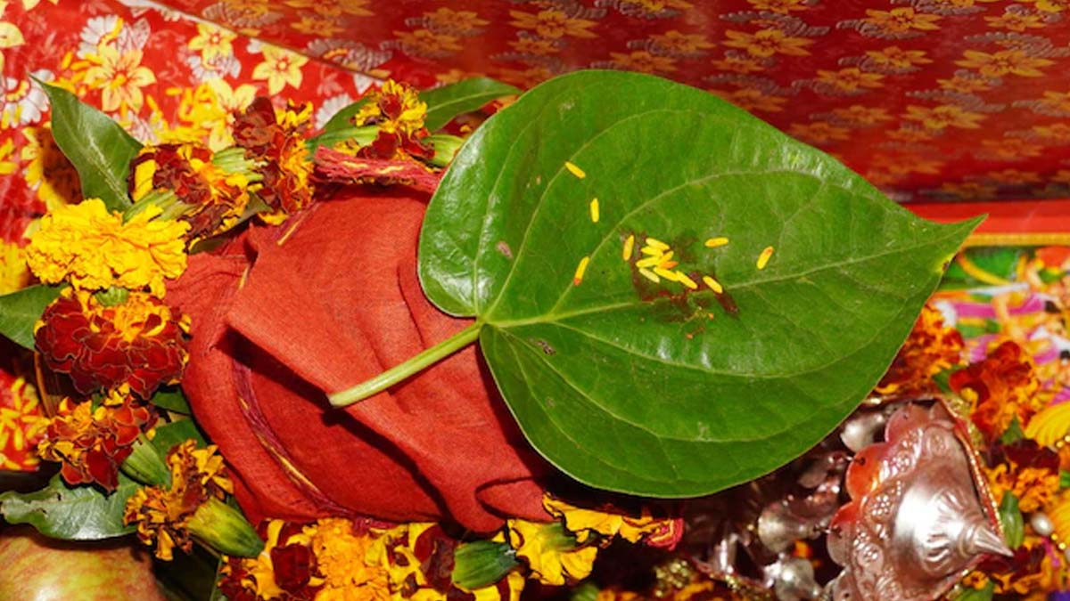 dhan ke liye paan ke upaay