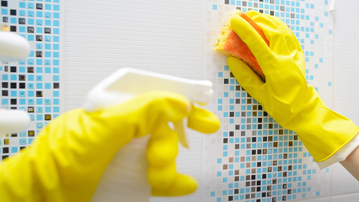 different uses of borax powder