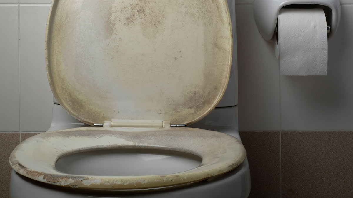 easy hacks to clean toilet seat at home