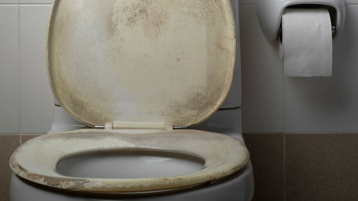 tips-to-clean-toilet-seat-toilet