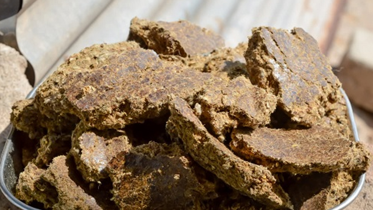 fertilizer for marigold flower