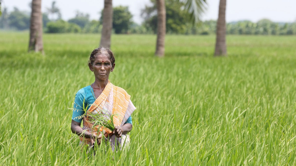 gendered impact of covid and floods