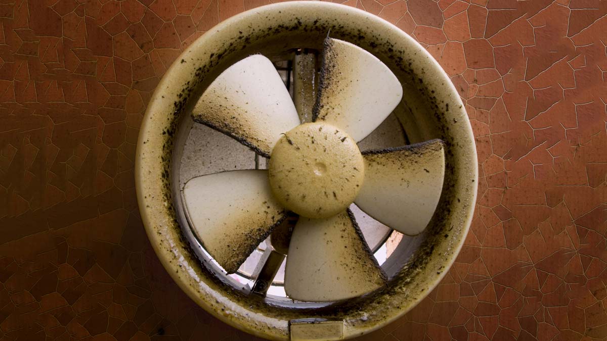 Exhaust Fan Cleaning With Cold Drink एग्जॉस्ट फैन को कैसे साफ करें