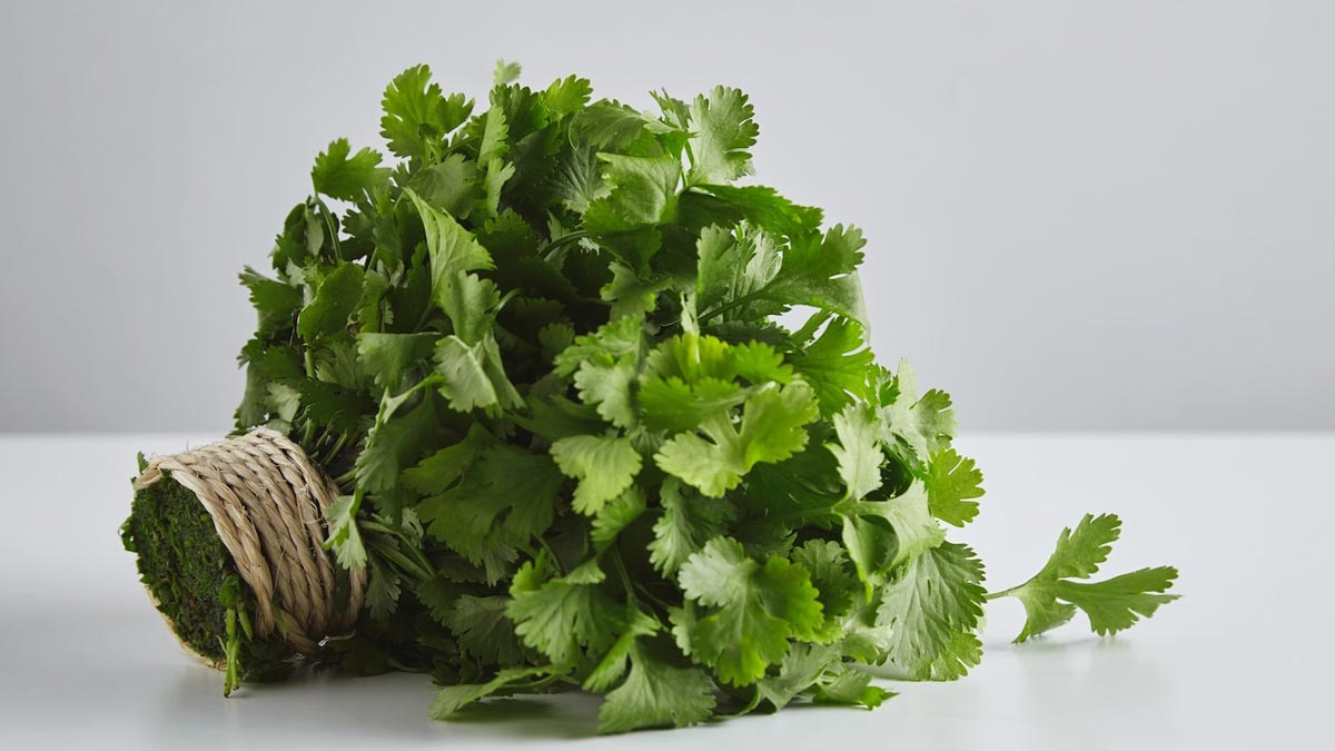 How To Cut Vegetables Fast सब्जी काटने का आसान तरीका tips and