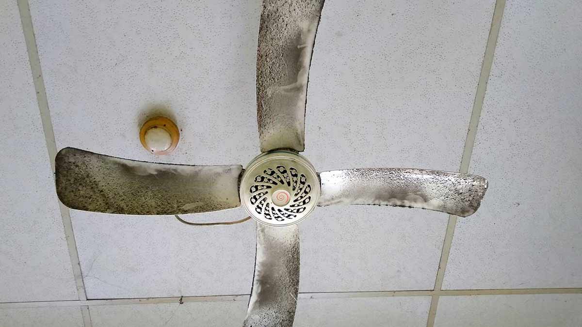 how to made homemade cleaner for ceiling fan
