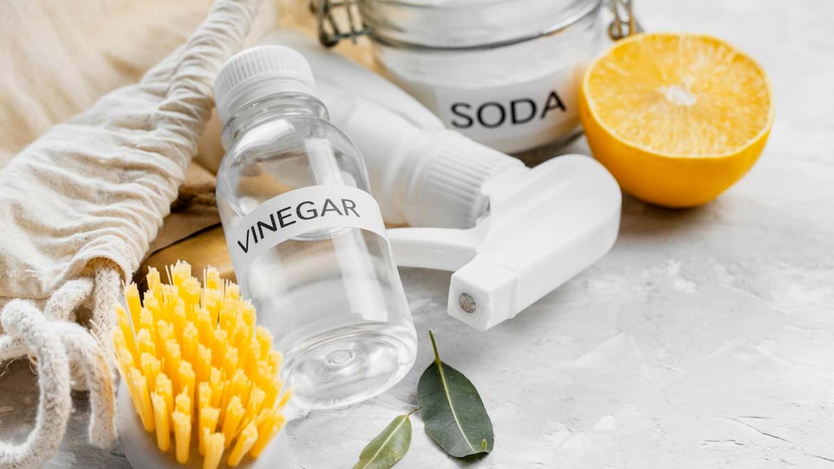 how to use vinegar for mold remove