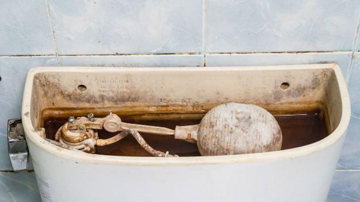 how-to-clean-toilet-tank-with-vinegar-toilet