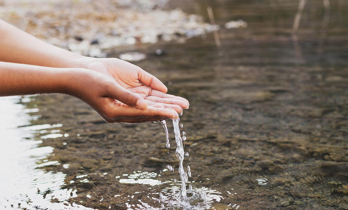 offering water to sun benefits