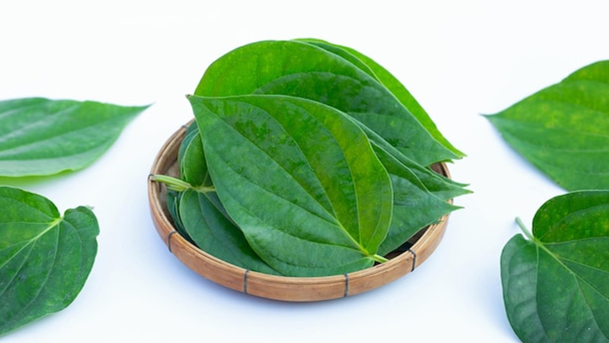 paan k paton for hair