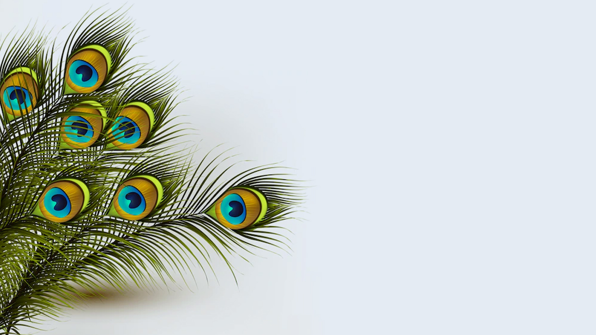 place mor pankh under pillow