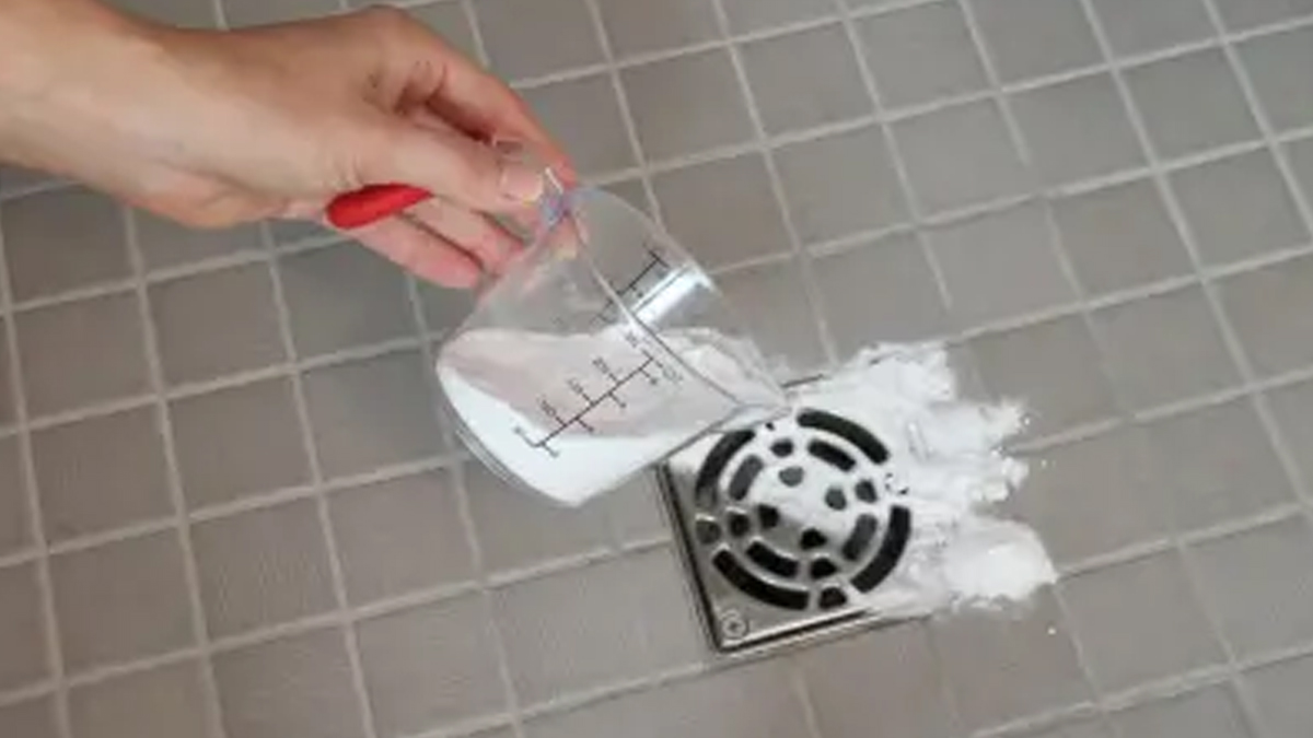 tips To Get Rid Of Beetles In House Naturally