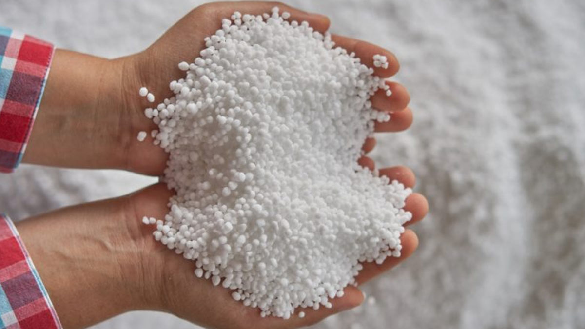 tips to remove moss from rooftop TIPS