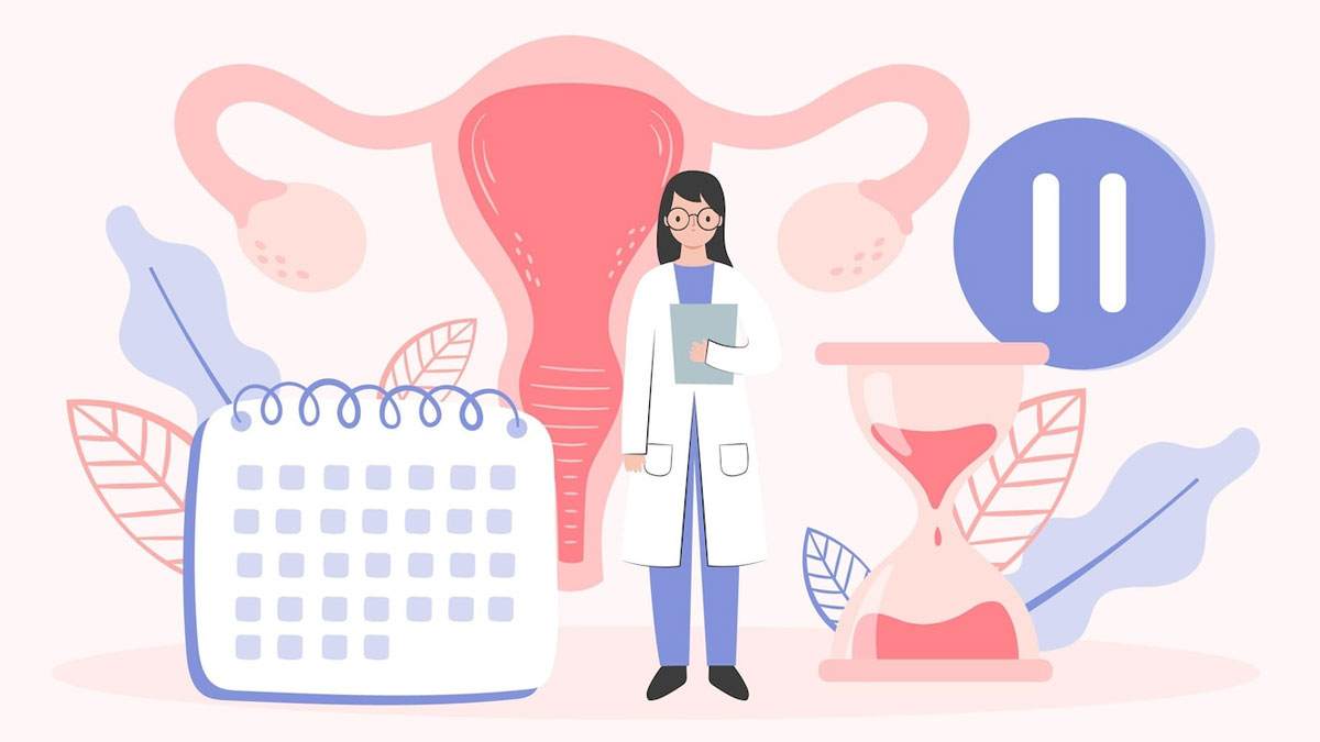 women menstrual cycle