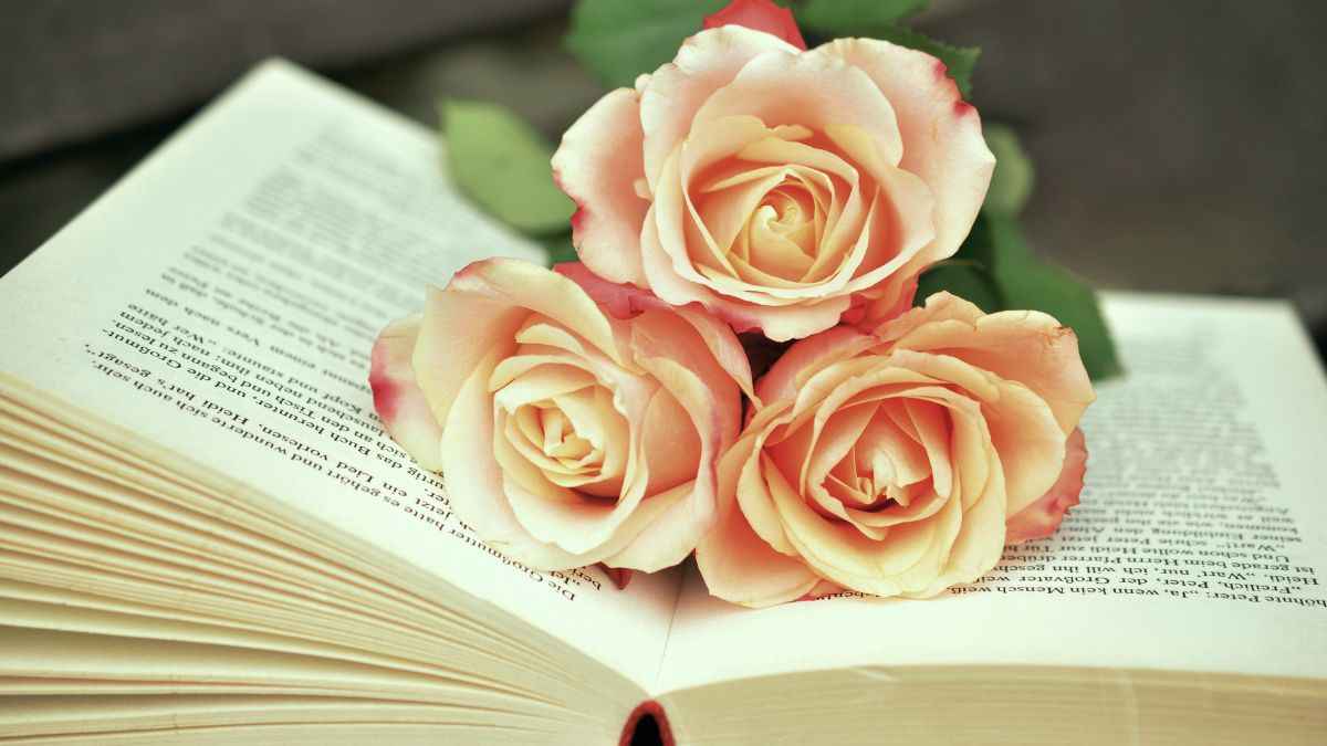 किताबें पढ़ने की शौकीन हैं, तो ये Best Romantic Novels जरूर पढ़े 