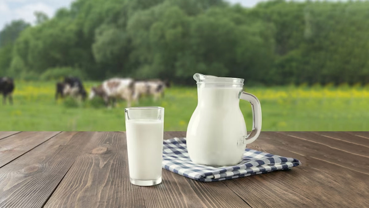 दूध का रंग सफेद ही क्यों होता है? 
