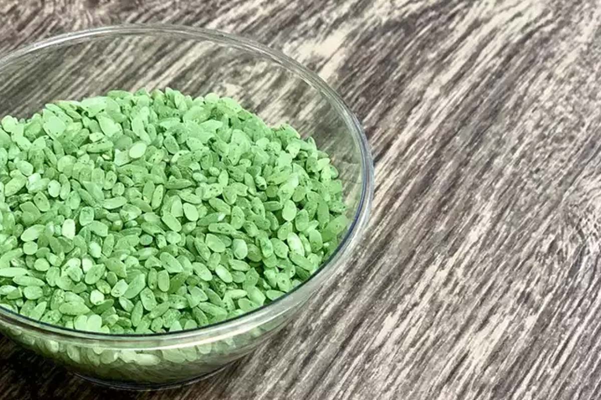 bamboo rice medicinal uses