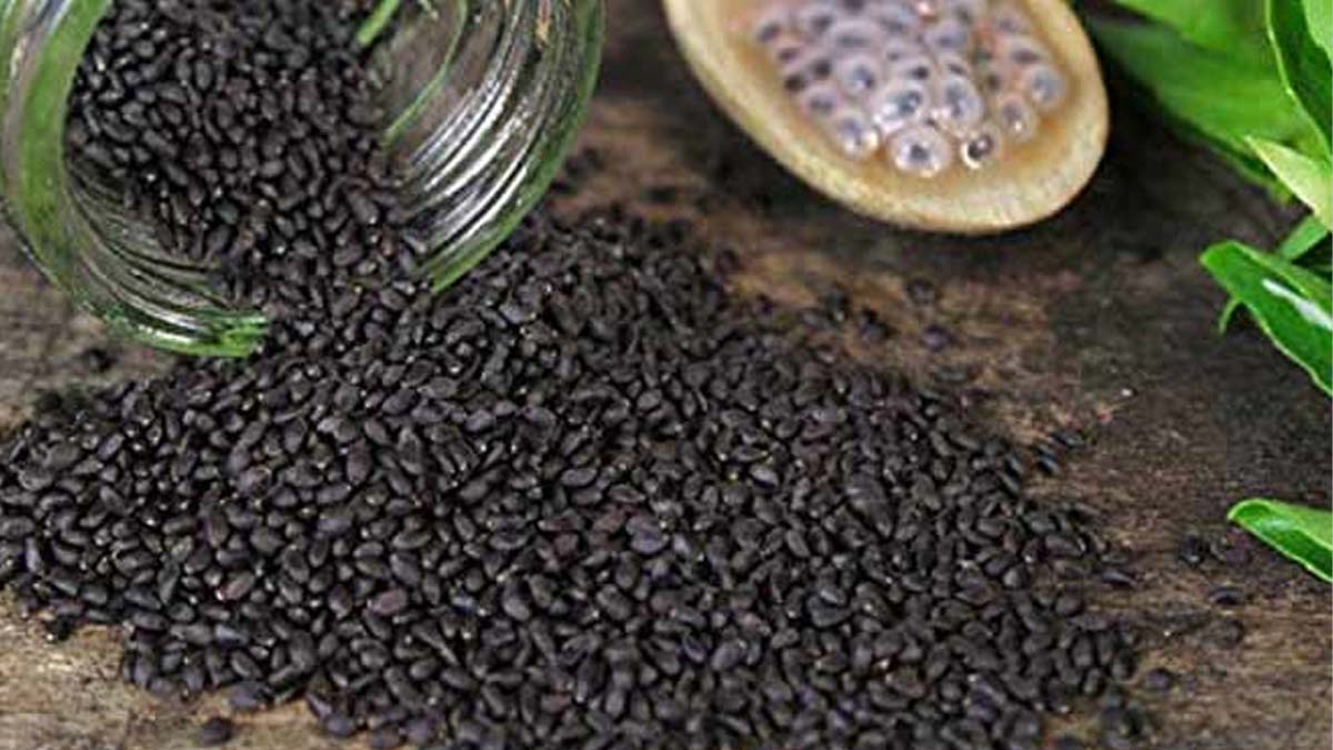 basil seed drink benefits