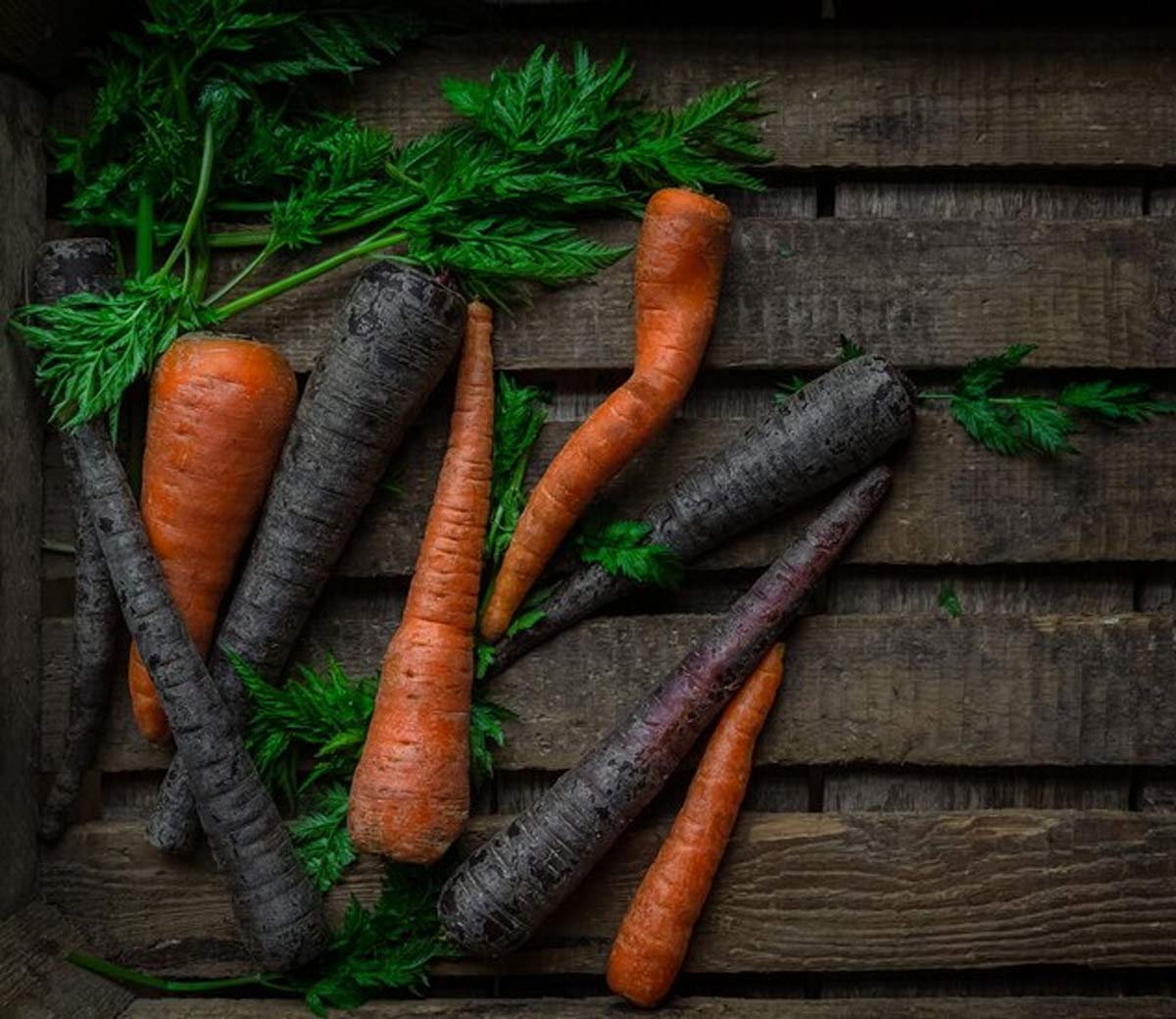 Benefits Of Black Carrot கருப்பு கேரட்டின் நன்மைகள் பற்றி தெரியுமா