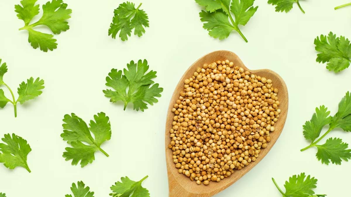 coriander water to cool body