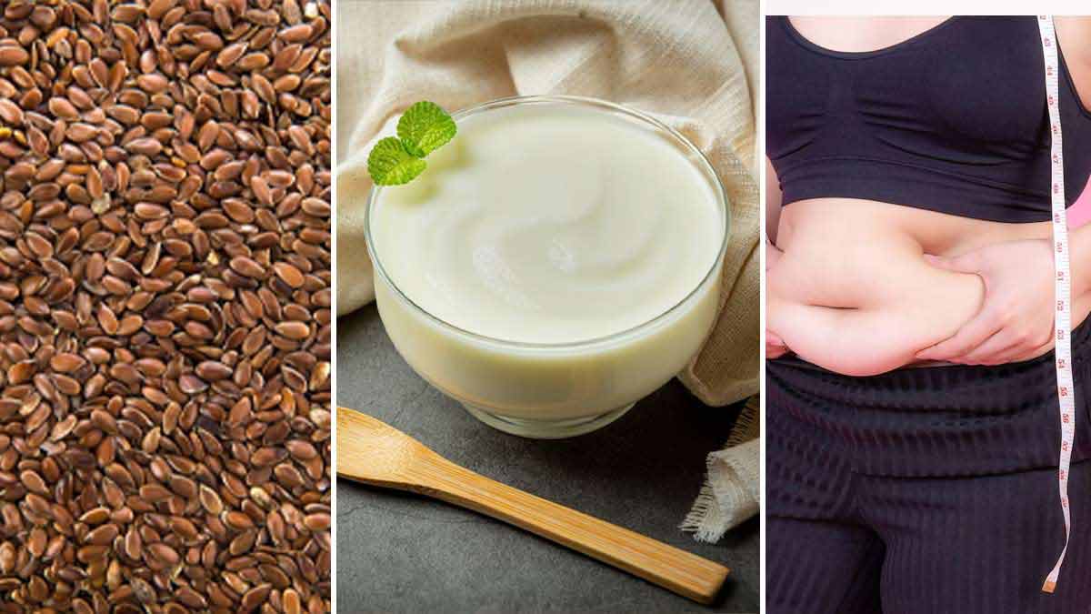 Flaxseeds And Curd For Weight Loss உடல் எடையை வேகமாக குறைக்க ஆளி விதை
