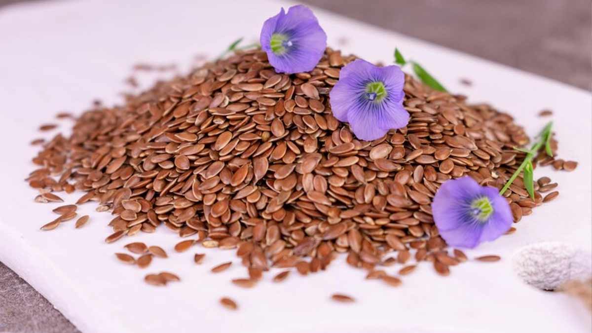 Hormone Imbalance Remedy ஹார்மோன் சமநிலையின்மையை சரி செய்யும் விதைகள் எவை தெரியுமா? which