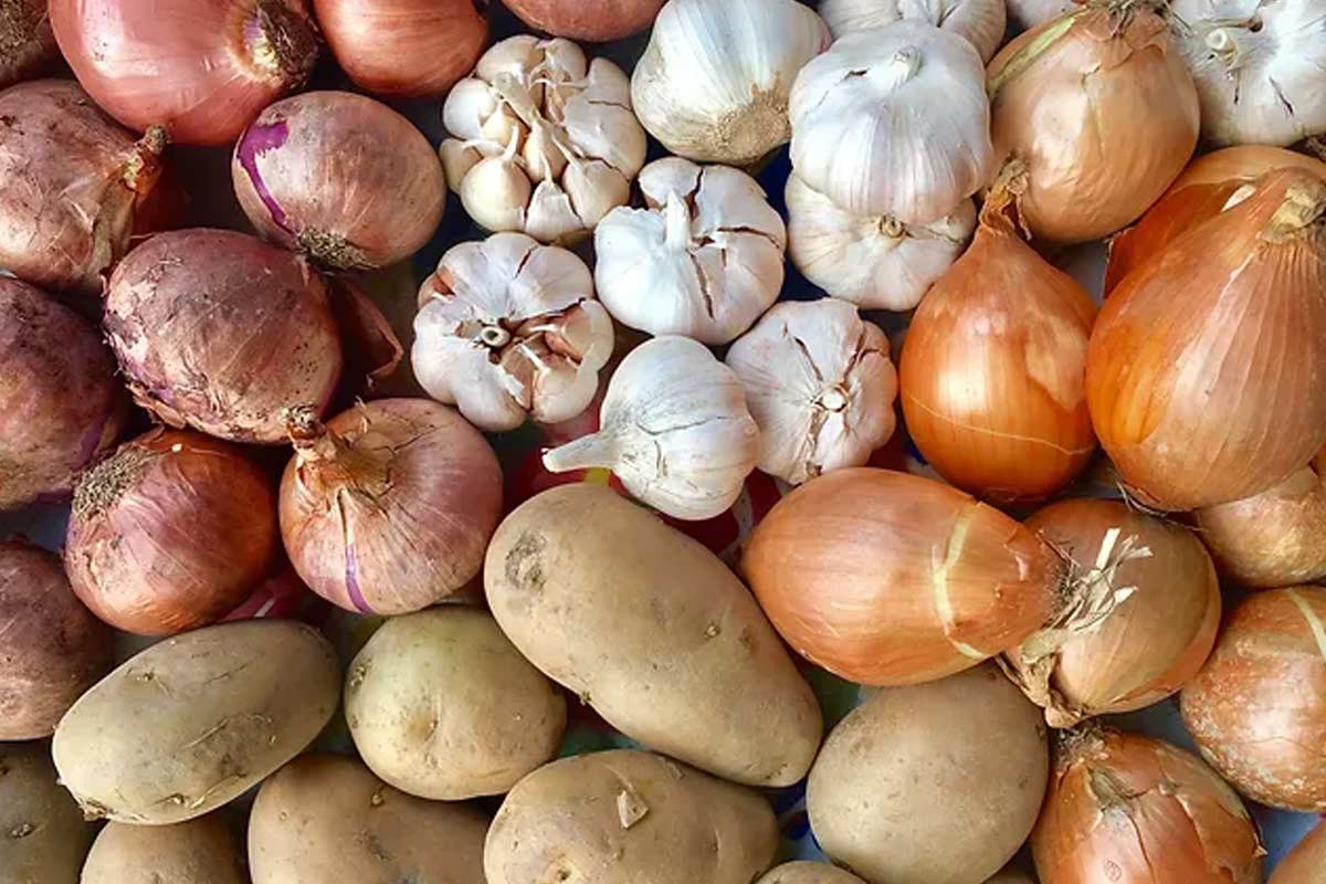 how to prevent onions from sprouting in summer at home