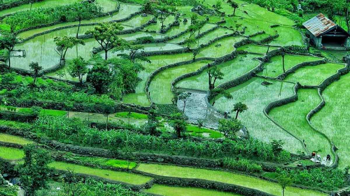 know asia first green village khonoma village nagaland