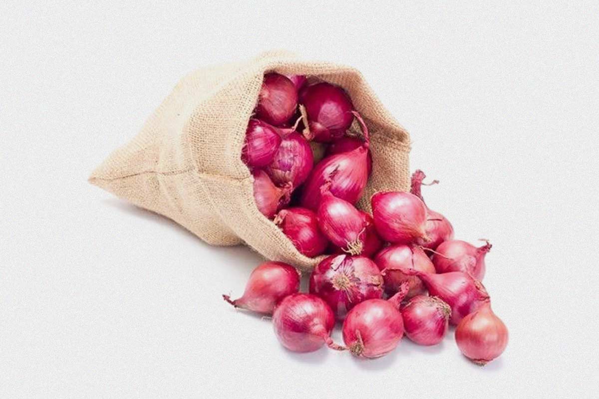 know how to prevent onions from sprouting in summer