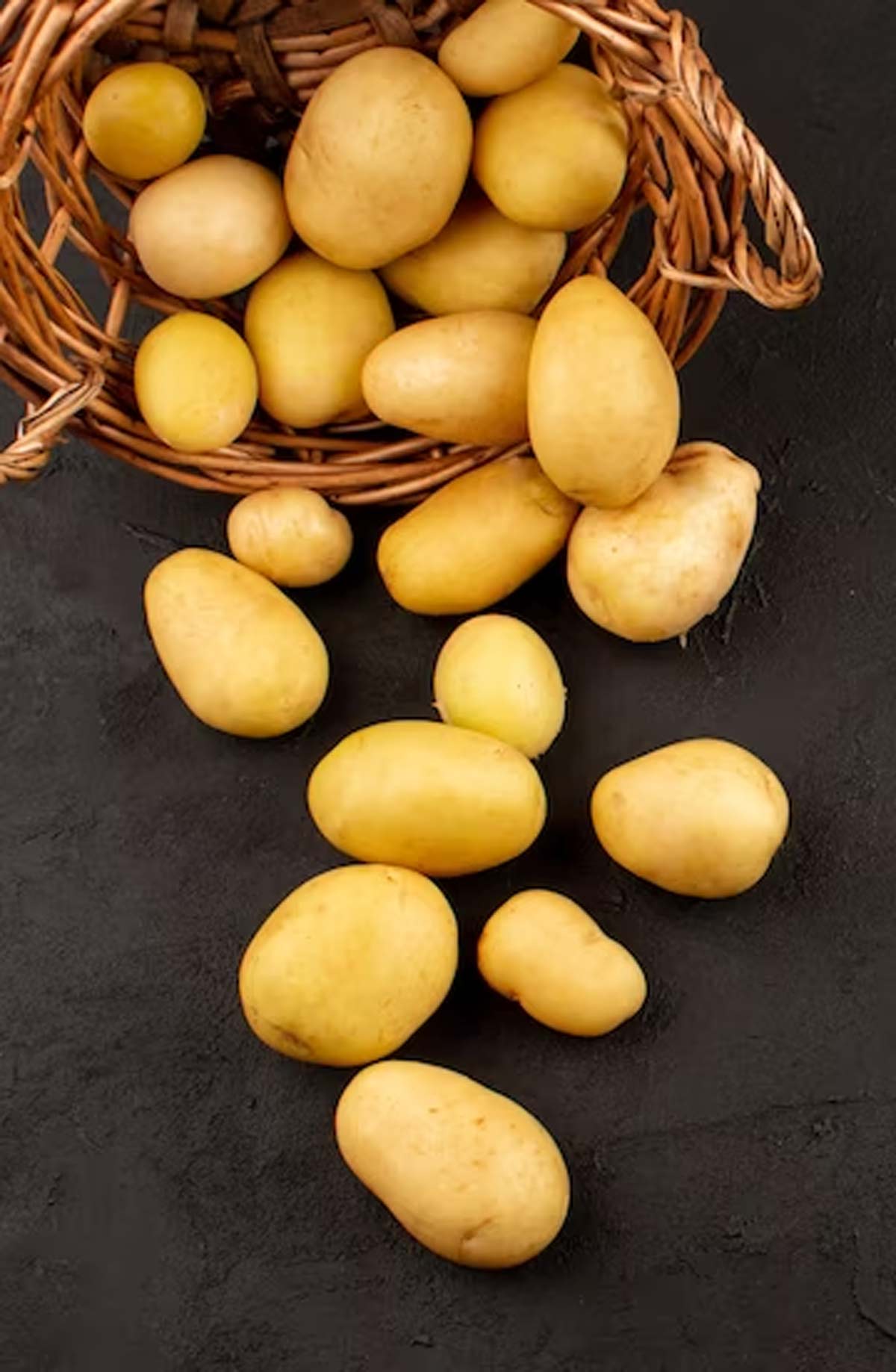 kufri neelkanth potato