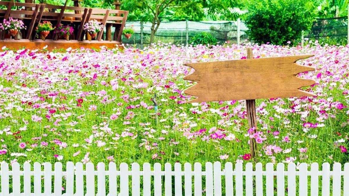 make garden boundary with old broom