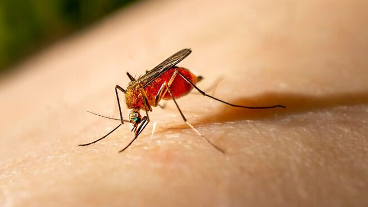 malaria types in tamil