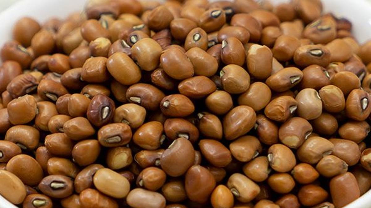 Moth Beans Benefits நரிப்பயறு சாப்பிடுவதால் கிடைக்கும் நன்மைகள்