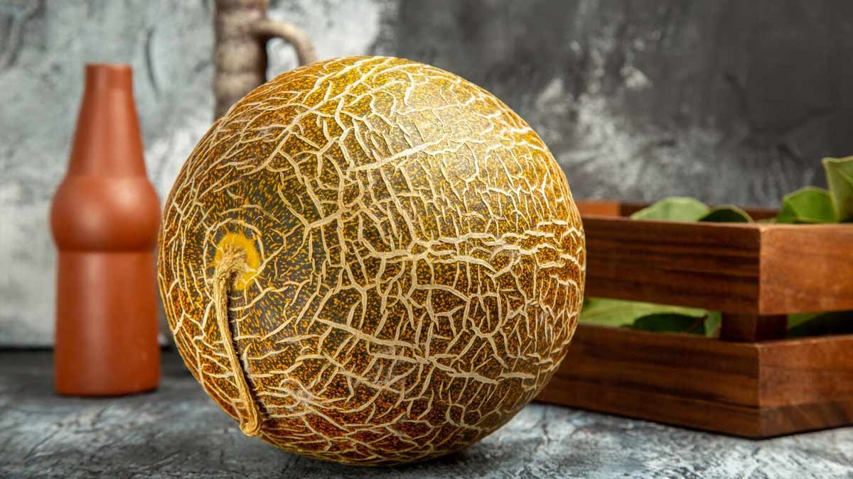 muskmelon benefits for summer