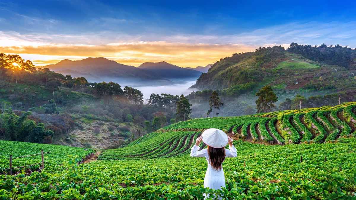 Visit These 5 Lesser-Heard Places In Mizoram This Summer