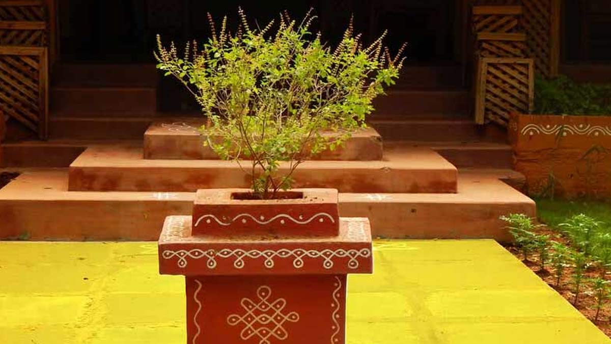 offering tulsi on temple