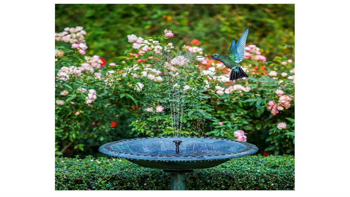 Solar Fountain: ये फाउंटेन बढ़ाएंगे आपके गार्डन की शान साथ ही रखेंगे  पक्षियों का ध्यान, solar fountain to attract happiness and revamp the home  decor
