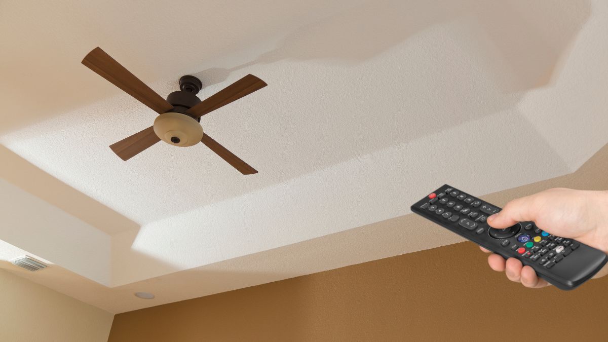 top Ceiling Fan