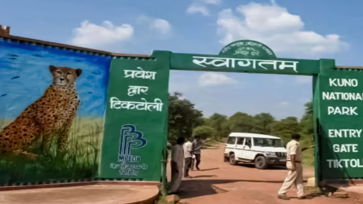 Kuno Wildlife Sanctuary