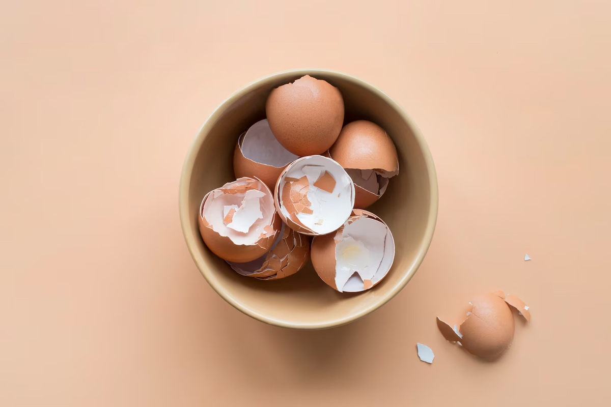 benefits of eggshells for plants