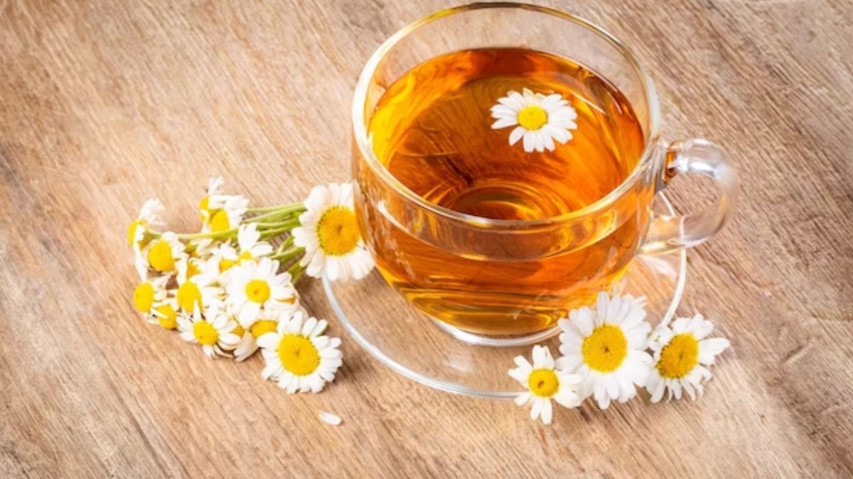 chamomile tea weight loss