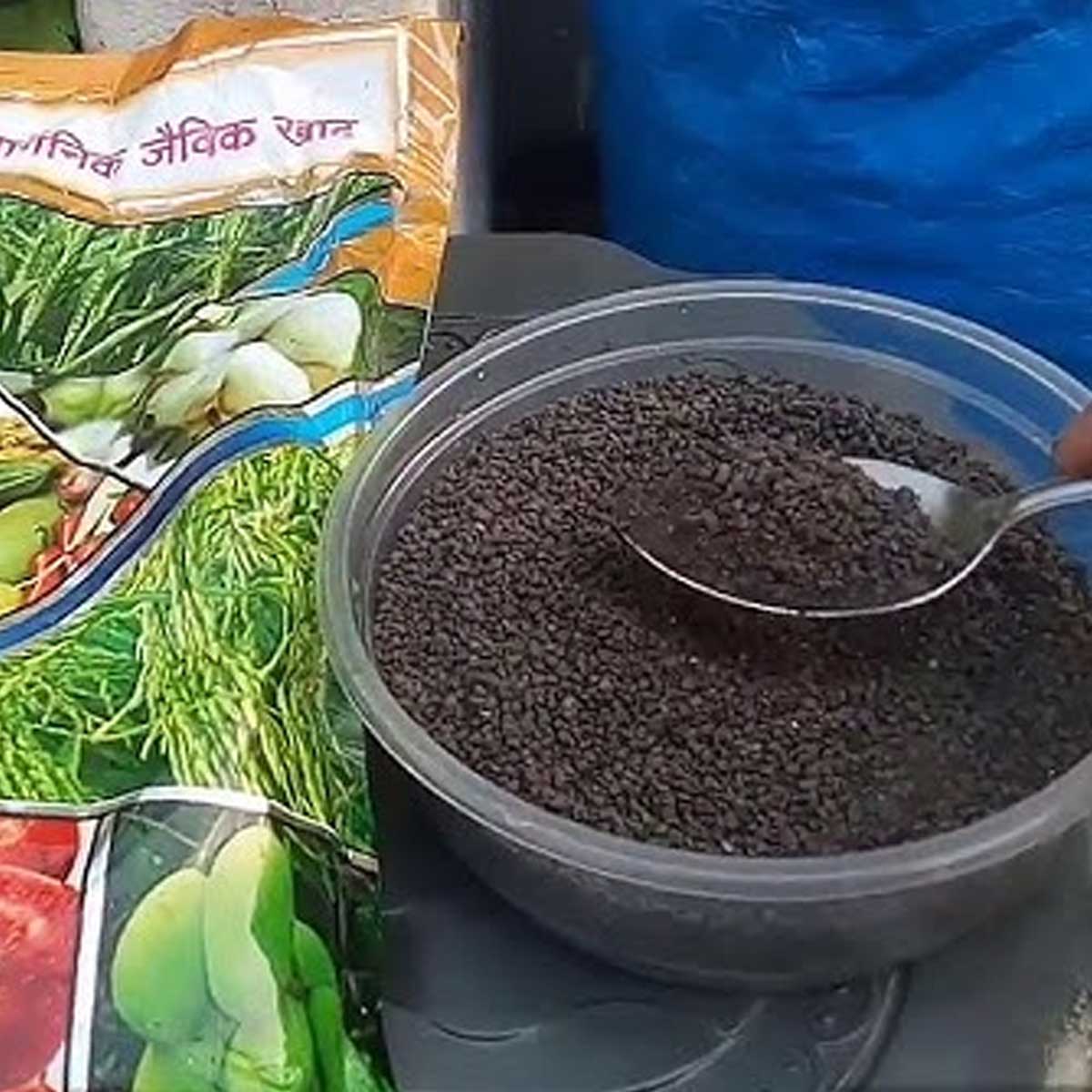 cheapest ways to grow garlic at home