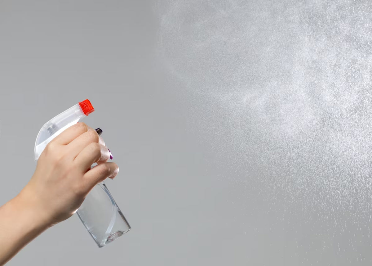 cleaner to get rid of ants